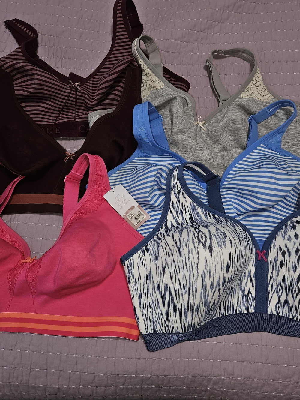Assorted 42DD Lane Bryant Cacique Bras.